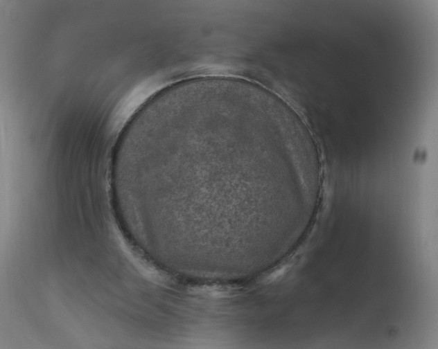 X0000112160103200908281414