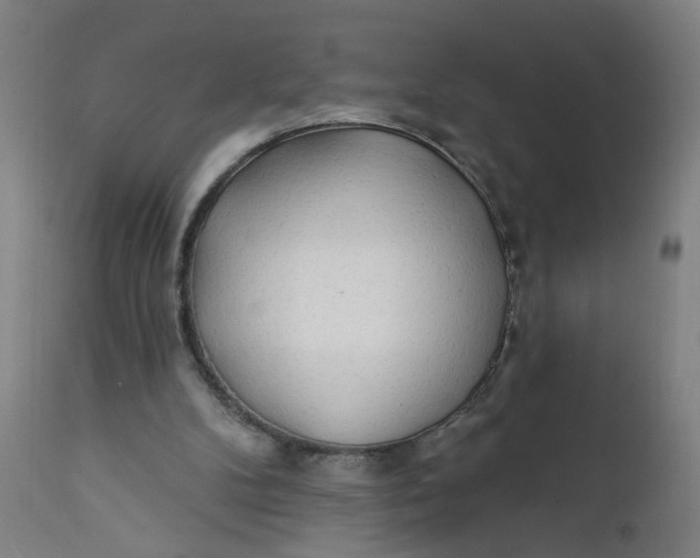 X0000112160104200908281414