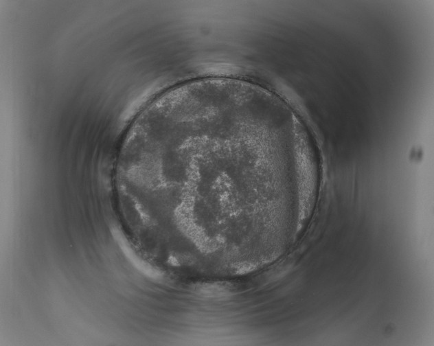 X0000112160106200908281414