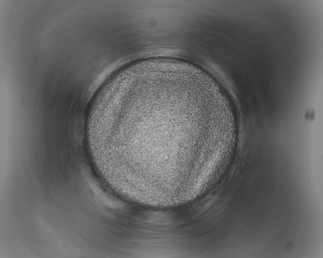 X0000112160107200908281414