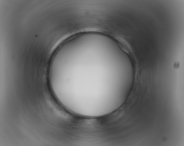 X0000112160108200908281414