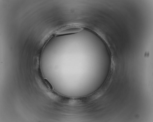 X0000112160109200908281414