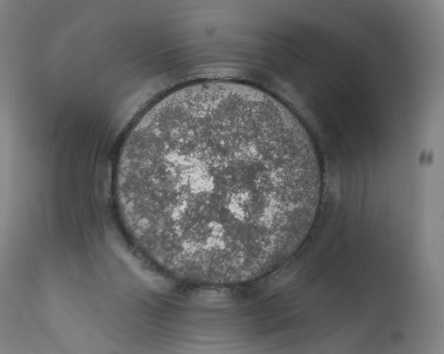 X0000112160110200908281414