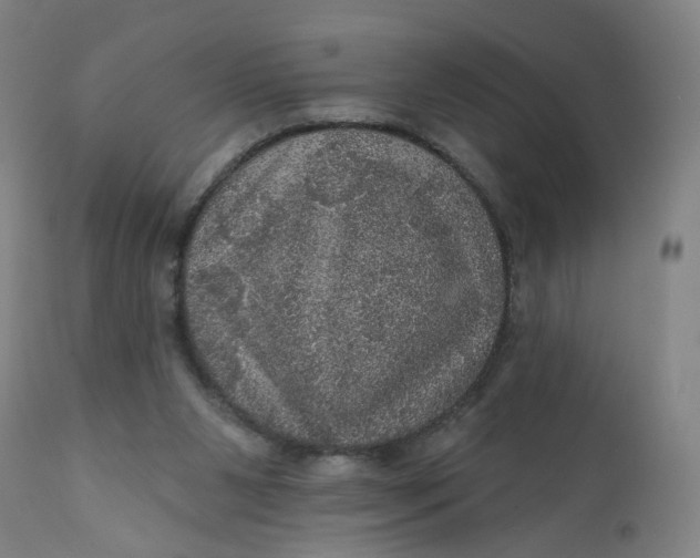 X0000112160111200908281414