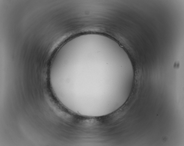 X0000112160112200908281414
