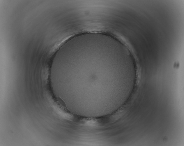 X0000112160113200908281414
