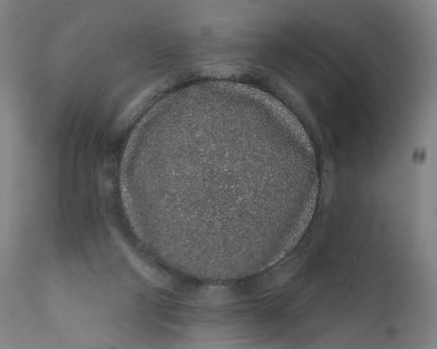 X0000112160114200908281413