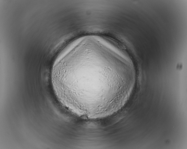 X0000112160115200908281413