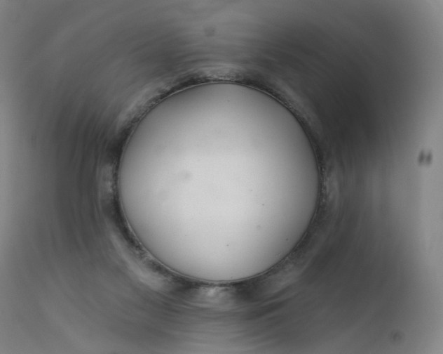 X0000112160117200908281413