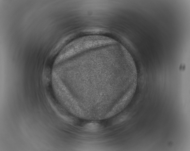 X0000112160119200908281413