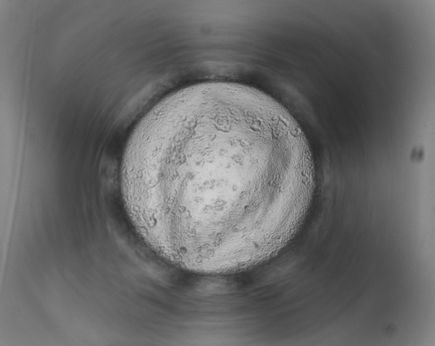 X0000112160123200908281413