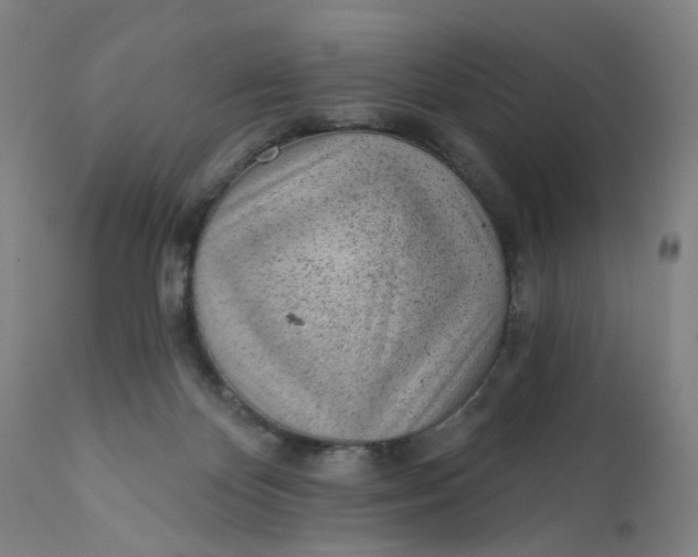 X0000112160124200908281413