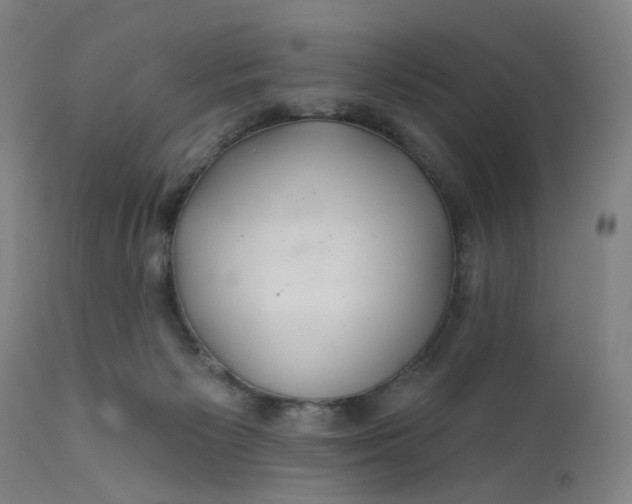 X0000112160125200908281413