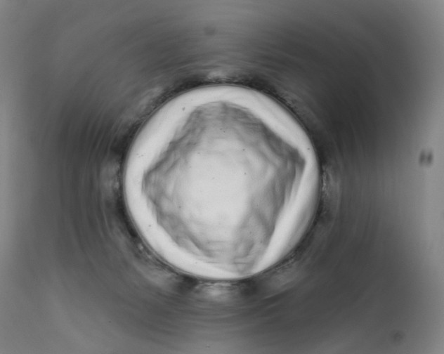 X0000112160127200908281413