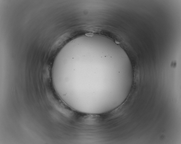 X0000112160128200908281413
