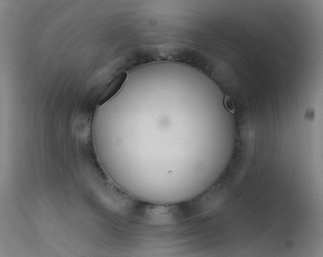 X0000112160129200908281413