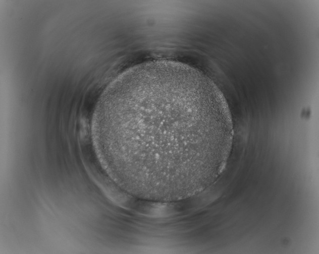 X0000112160130200908281413