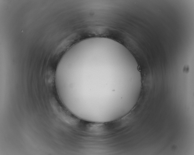 X0000112160132200908281413