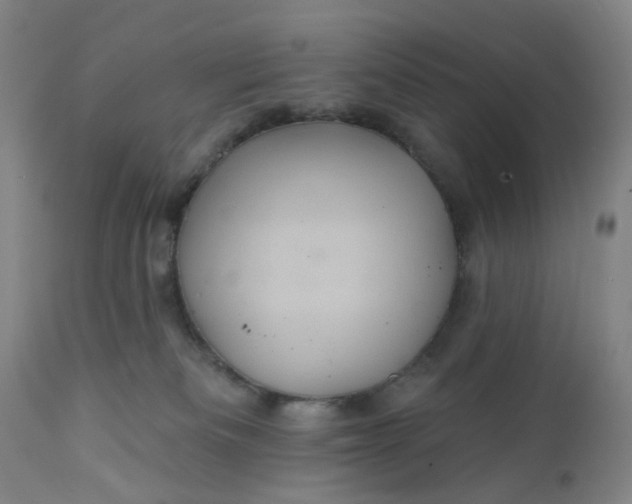 X0000112160133200908281413