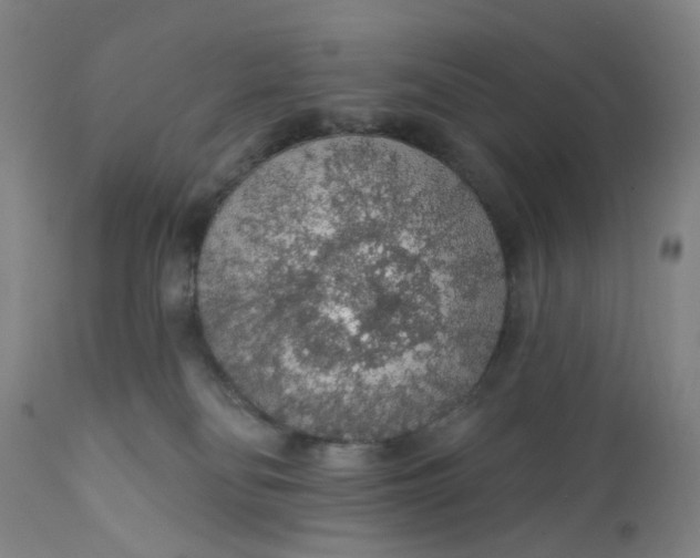 X0000112160134200908281413