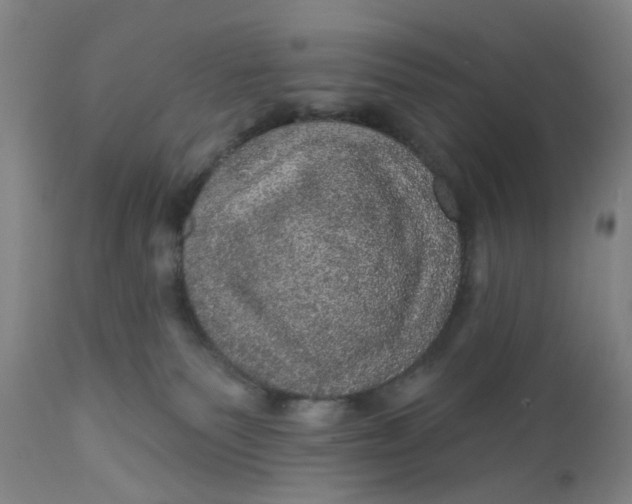 X0000112160135200908281413