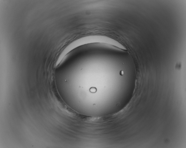 X0000112160136200908281413