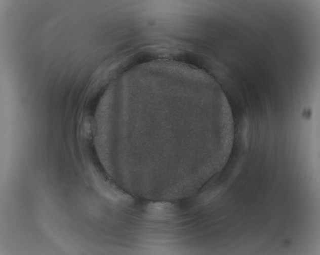X0000112160137200908281413
