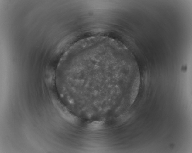 X0000112160138200908281413