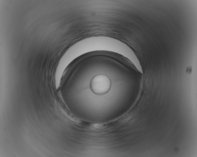 X0000112160141200908281413