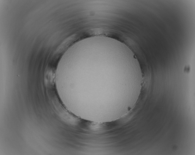 X0000112160142200908281413