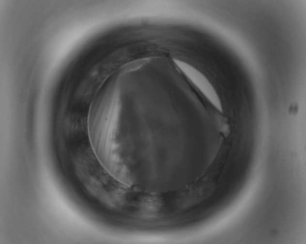 X0000112160143200908281413