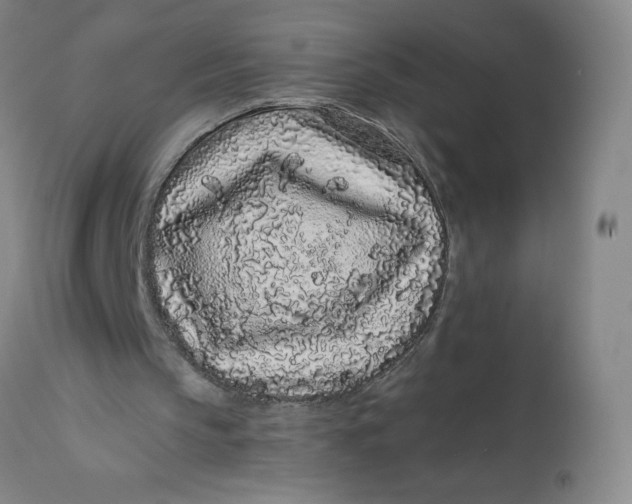 X0000112160145200908281412