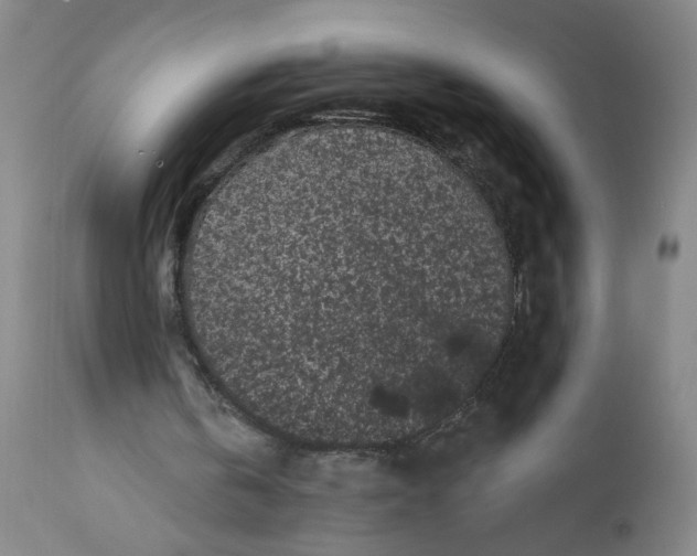 X0000112160146200908281412