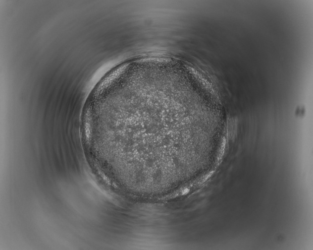 X0000112160147200908281412