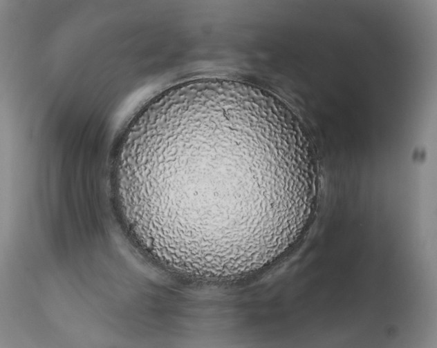X0000112160149200908281412