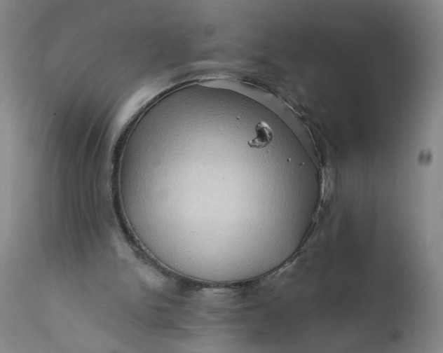 X0000112160150200908281412