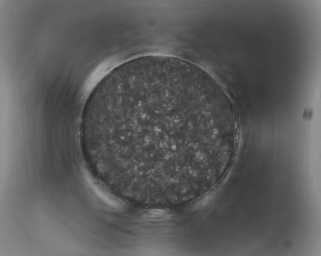 X0000112160151200908281412