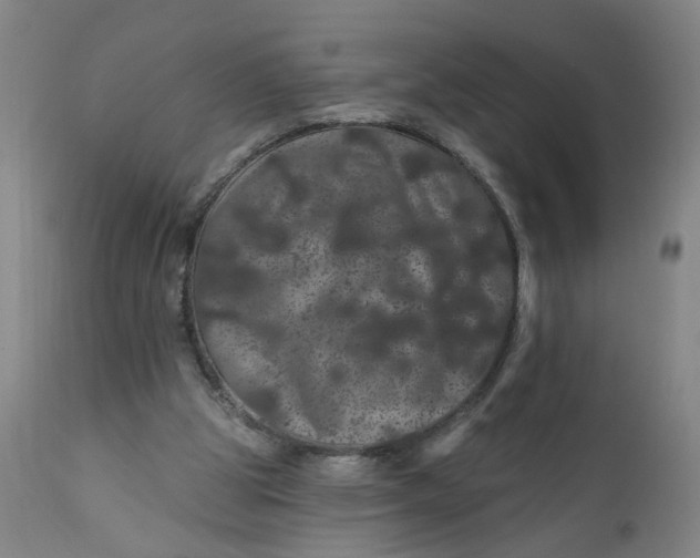 X0000112160153200908281412