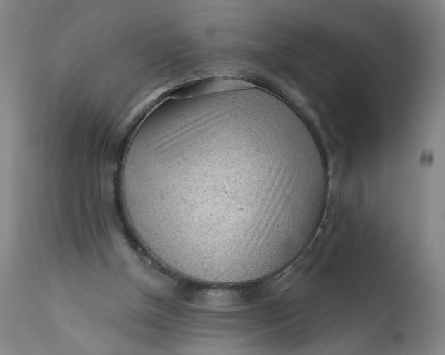 X0000112160154200908281412
