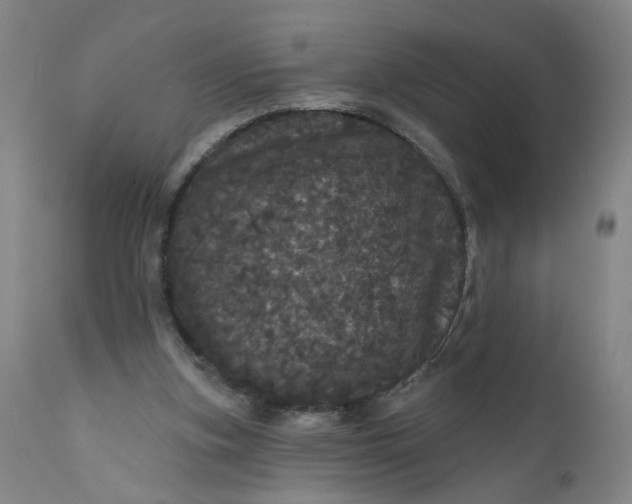 X0000112160155200908281412