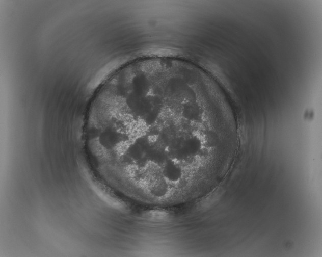 X0000112160159200908281412