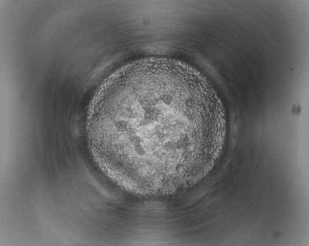 X0000112160161200908281412