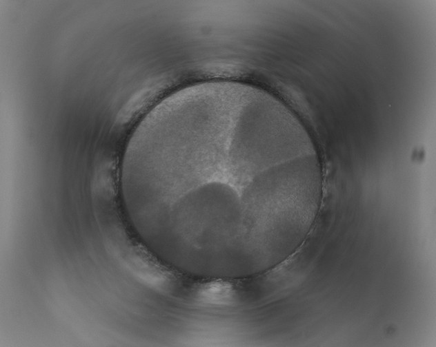 X0000112160162200908281412