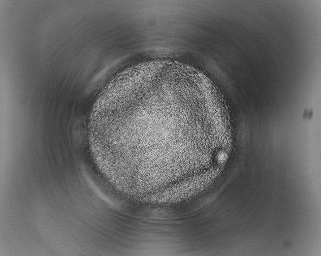 X0000112160165200908281413