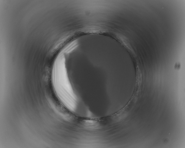 X0000112160167200908281413