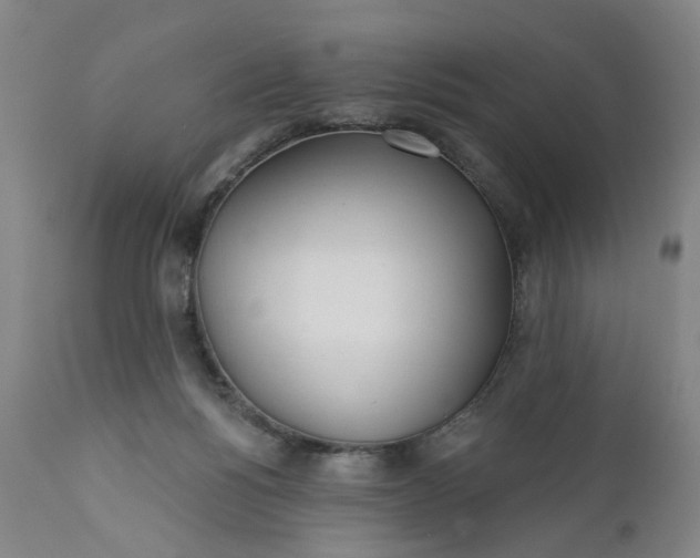 X0000112160168200908281413