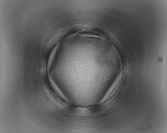 X0000112160170200908281413