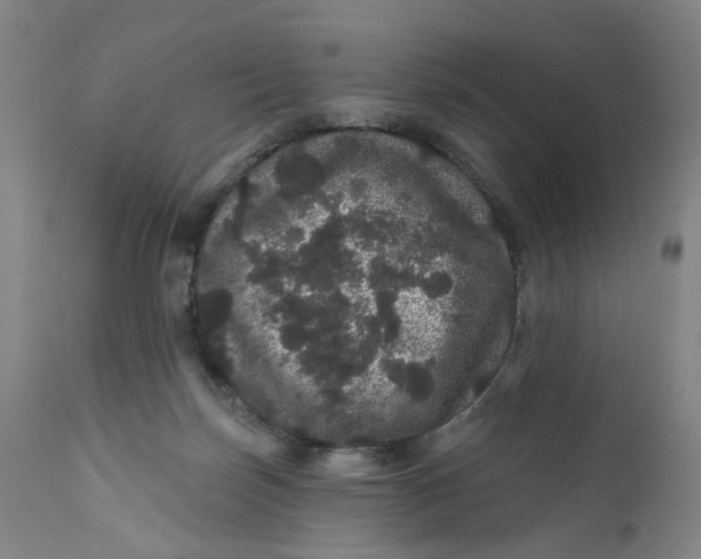 X0000112160171200908281413