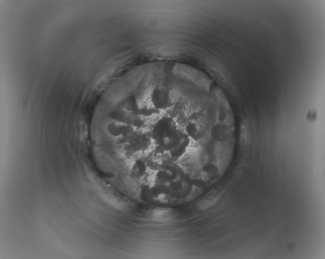 X0000112160173200908281413