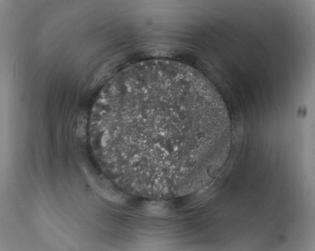 X0000112160175200908281413